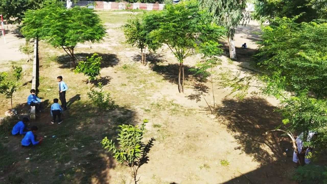 School kids are relaxing under trees.
