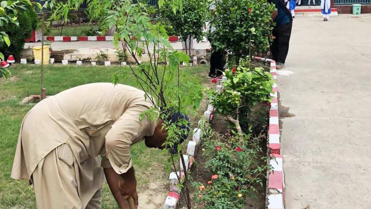 Activist Basit Gujjar dreams of making Gujrat a green district