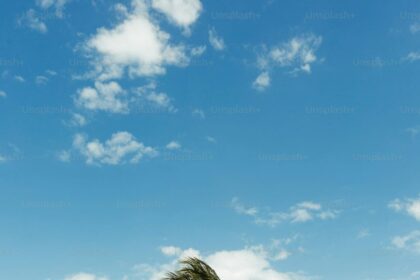 Good Weather by by Orhan Veli Kanik