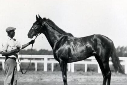 Blue Larkspur horse racing legacy
