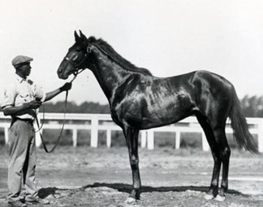 Blue Larkspur horse racing legacy