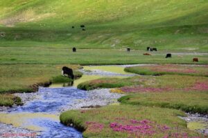 Pakistan Summer Escape Guide