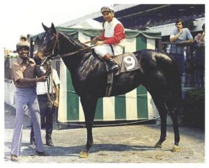 Fifty Years Later: The Echo of a Broken Stride Still Haunts the Field