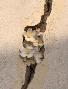 Opening the Closed Heart