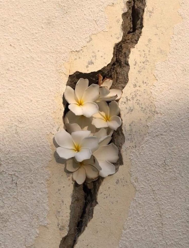 Opening the Closed Heart