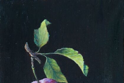 the Plum You're Going To Eat Next Summer